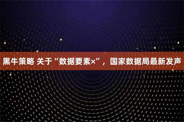 黑牛策略 关于“数据要素×”，国家数据局最新发声
