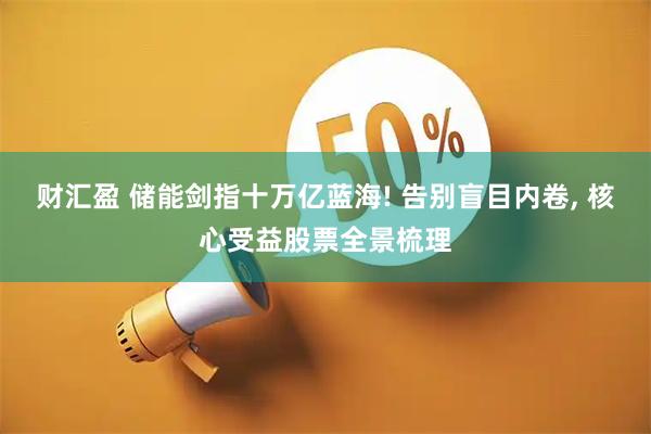 财汇盈 储能剑指十万亿蓝海! 告别盲目内卷, 核心受益股票全景梳理